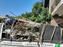 Best Yard Waste Removal  in Harlan, IN